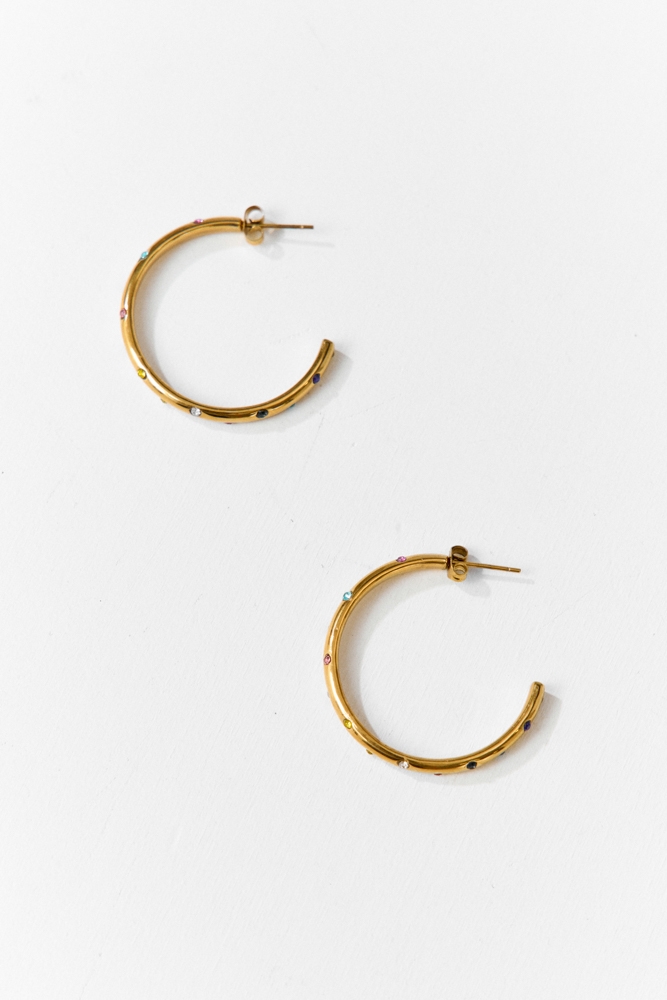 Merel strass multikleur oorbellen